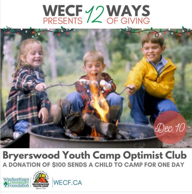 WECF Presents 12 Ways of Giving